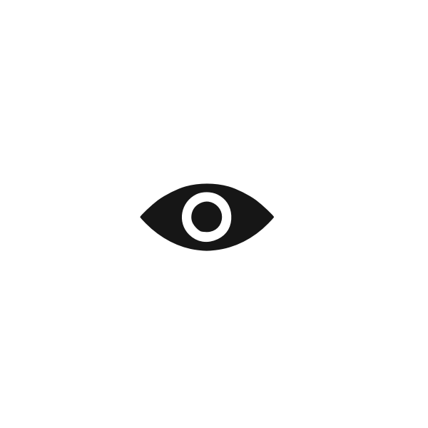 Show/Hide Password